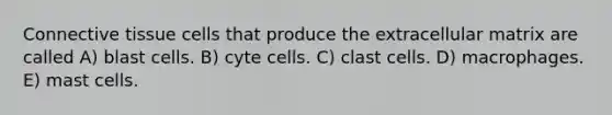 Connective tissue cells that produce the extracellular matrix are called A) blast cells. B) cyte cells. C) clast cells. D) macrophages. E) mast cells.