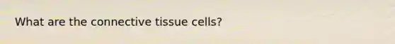 What are the connective tissue cells?