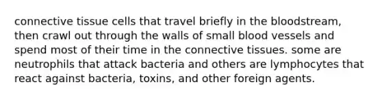 connective tissue cells that travel briefly in the bloodstream, then crawl out through the walls of small blood vessels and spend most of their time in the connective tissues. some are neutrophils that attack bacteria and others are lymphocytes that react against bacteria, toxins, and other foreign agents.