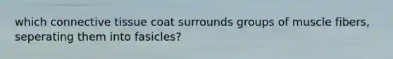 which connective tissue coat surrounds groups of muscle fibers, seperating them into fasicles?