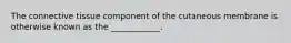 The connective tissue component of the cutaneous membrane is otherwise known as the ____________.