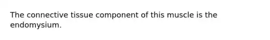 The connective tissue component of this muscle is the endomysium.