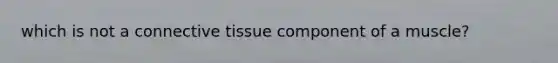 which is not a connective tissue component of a muscle?