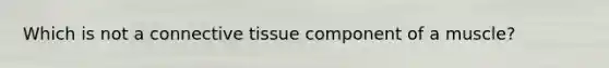 Which is not a connective tissue component of a muscle?