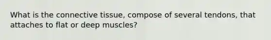 What is the connective tissue, compose of several tendons, that attaches to flat or deep muscles?