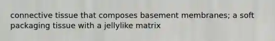 connective tissue that composes basement membranes; a soft packaging tissue with a jellylike matrix