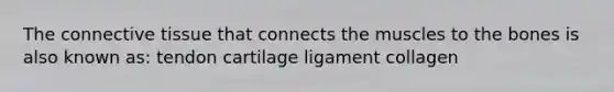 The connective tissue that connects the muscles to the bones is also known as: tendon cartilage ligament collagen