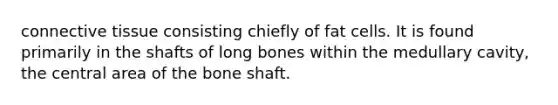 connective tissue consisting chiefly of fat cells. It is found primarily in the shafts of long bones within the medullary cavity, the central area of the bone shaft.