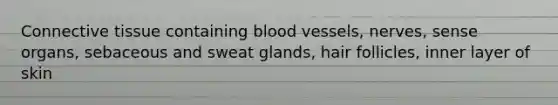 Connective tissue containing blood vessels, nerves, sense organs, sebaceous and sweat glands, hair follicles, inner layer of skin