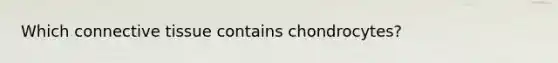 Which connective tissue contains chondrocytes?