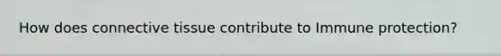 How does connective tissue contribute to Immune protection?