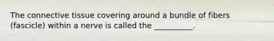 The connective tissue covering around a bundle of fibers (fascicle) within a nerve is called the __________.