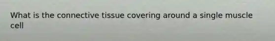 What is the <a href='https://www.questionai.com/knowledge/kYDr0DHyc8-connective-tissue' class='anchor-knowledge'>connective tissue</a> covering around a single muscle cell