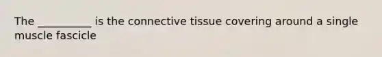 The __________ is the <a href='https://www.questionai.com/knowledge/kYDr0DHyc8-connective-tissue' class='anchor-knowledge'>connective tissue</a> covering around a single muscle fascicle