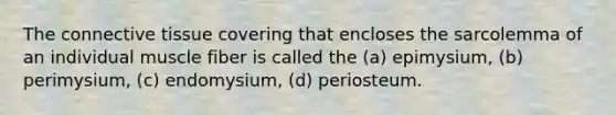 The connective tissue covering that encloses the sarcolemma of an individual muscle fiber is called the (a) epimysium, (b) perimysium, (c) endomysium, (d) periosteum.