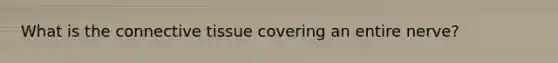 What is the <a href='https://www.questionai.com/knowledge/kYDr0DHyc8-connective-tissue' class='anchor-knowledge'>connective tissue</a> covering an entire nerve?