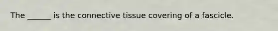 The ______ is the connective tissue covering of a fascicle.