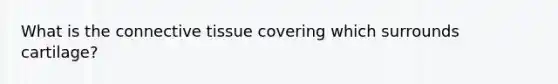 What is the connective tissue covering which surrounds cartilage?