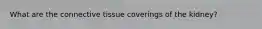 What are the connective tissue coverings of the kidney?