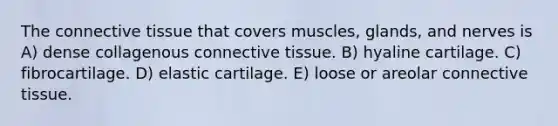 The connective tissue that covers muscles, glands, and nerves is A) dense collagenous connective tissue. B) hyaline cartilage. C) fibrocartilage. D) elastic cartilage. E) loose or areolar connective tissue.