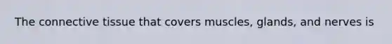 The connective tissue that covers muscles, glands, and nerves is