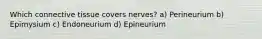 Which connective tissue covers nerves? a) Perineurium b) Epimysium c) Endoneurium d) Epineurium