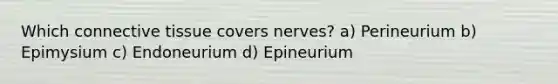 Which connective tissue covers nerves? a) Perineurium b) Epimysium c) Endoneurium d) Epineurium