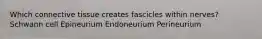 Which connective tissue creates fascicles within nerves? Schwann cell Epineurium Endoneurium Perineurium