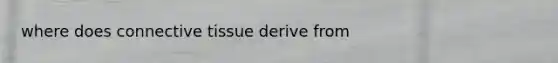 where does connective tissue derive from