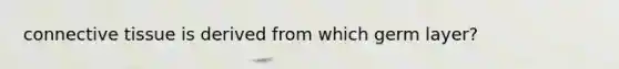 connective tissue is derived from which germ layer?