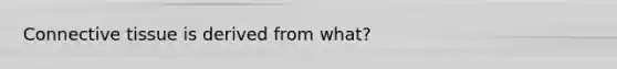 Connective tissue is derived from what?