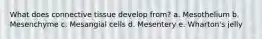 What does connective tissue develop from? a. Mesothelium b. Mesenchyme c. Mesangial cells d. Mesentery e. Wharton's jelly