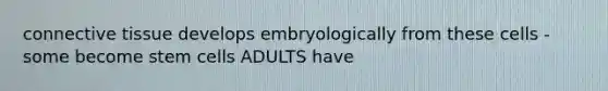 connective tissue develops embryologically from these cells - some become stem cells ADULTS have