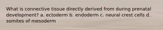 What is connective tissue directly derived from during prenatal development? a. ectoderm b. endoderm c. neural crest cells d. somites of mesoderm