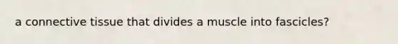a connective tissue that divides a muscle into fascicles?