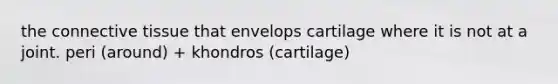 the connective tissue that envelops cartilage where it is not at a joint. peri (around) + khondros (cartilage)