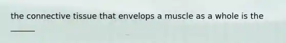 the connective tissue that envelops a muscle as a whole is the ______