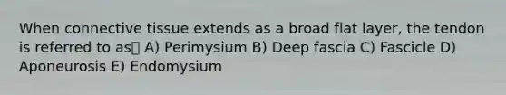 When connective tissue extends as a broad flat layer, the tendon is referred to as A) Perimysium B) Deep fascia C) Fascicle D) Aponeurosis E) Endomysium