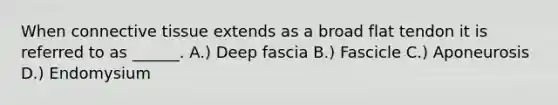 When connective tissue extends as a broad flat tendon it is referred to as ______. A.) Deep fascia B.) Fascicle C.) Aponeurosis D.) Endomysium