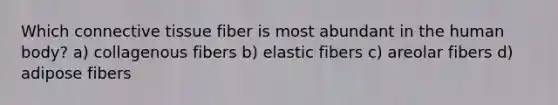 Which connective tissue fiber is most abundant in the human body? a) collagenous fibers b) elastic fibers c) areolar fibers d) adipose fibers