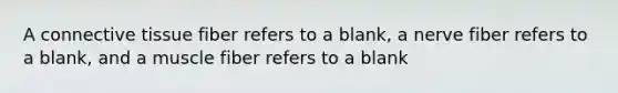 A connective tissue fiber refers to a blank, a nerve fiber refers to a blank, and a muscle fiber refers to a blank