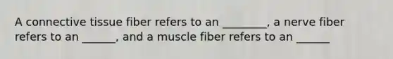 A connective tissue fiber refers to an ________, a nerve fiber refers to an ______, and a muscle fiber refers to an ______