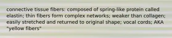 connective tissue fibers: composed of spring-like protein called elastin; thin fibers form complex networks; weaker than collagen; easily stretched and returned to original shape; vocal cords; AKA "yellow fibers"