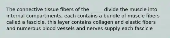 The <a href='https://www.questionai.com/knowledge/kYDr0DHyc8-connective-tissue' class='anchor-knowledge'>connective tissue</a> fibers of the _____ divide the muscle into internal compartments, each contains a bundle of muscle fibers called a fascicle, this layer contains collagen and elastic fibers and numerous <a href='https://www.questionai.com/knowledge/kZJ3mNKN7P-blood-vessels' class='anchor-knowledge'>blood vessels</a> and nerves supply each fascicle