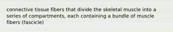 connective tissue fibers that divide the skeletal muscle into a series of compartments, each containing a bundle of muscle fibers (fascicle)