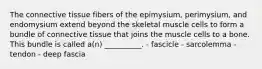 The connective tissue fibers of the epimysium, perimysium, and endomysium extend beyond the skeletal muscle cells to form a bundle of connective tissue that joins the muscle cells to a bone. This bundle is called a(n) __________. - fascicle - sarcolemma - tendon - deep fascia