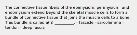 The connective tissue fibers of the epimysium, perimysium, and endomysium extend beyond the skeletal muscle cells to form a bundle of connective tissue that joins the muscle cells to a bone. This bundle is called a(n) __________. - fascicle - sarcolemma - tendon - deep fascia