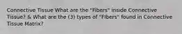 Connective Tissue What are the "Fibers" inside Connective Tissue? & What are the (3) types of "FIbers" found in Connective Tissue Matrix?