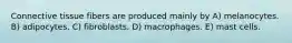 Connective tissue fibers are produced mainly by A) melanocytes. B) adipocytes. C) fibroblasts. D) macrophages. E) mast cells.
