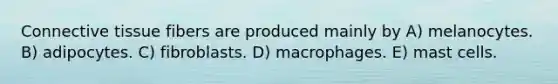 Connective tissue fibers are produced mainly by A) melanocytes. B) adipocytes. C) fibroblasts. D) macrophages. E) mast cells.